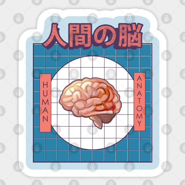 Human Brain Anatomy Sticker by AtifSlm